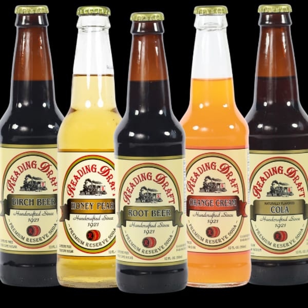 Five bottles of Reading Draft soda in various flavors: Birch Beer, Honey Pear, Root Beer, Orange Cream, and Cola.